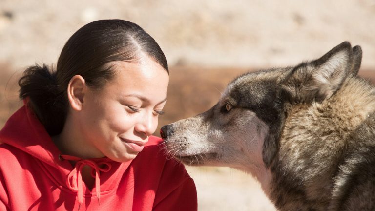 Wolf Academy at Sycamores