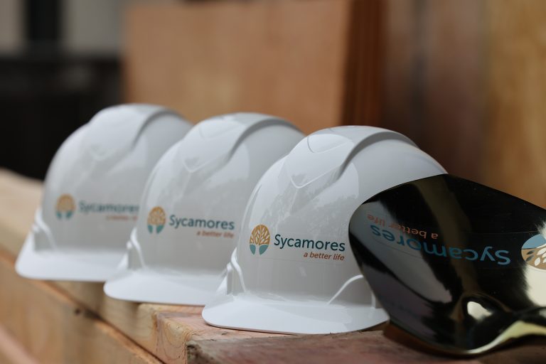 Sycamores' Children’s Crisis Programs